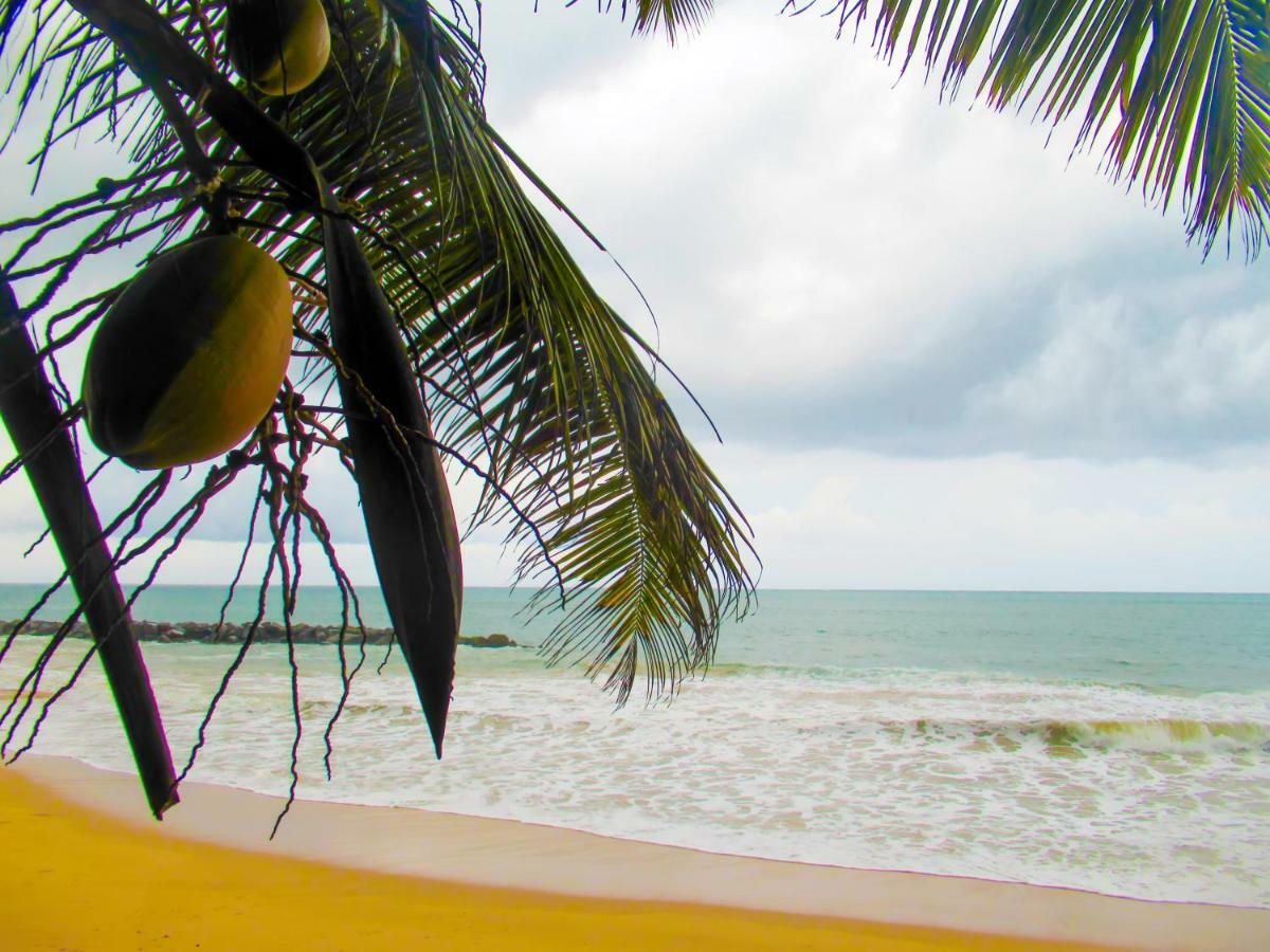 Shanika Beach Inn تانجالي المظهر الخارجي الصورة