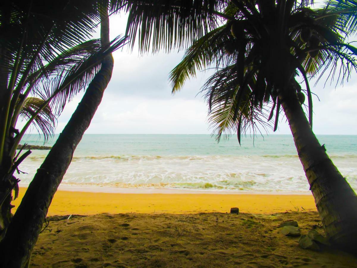 Shanika Beach Inn تانجالي المظهر الخارجي الصورة